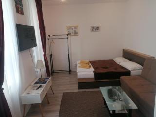 Studio Plaza - Sibiu - 9