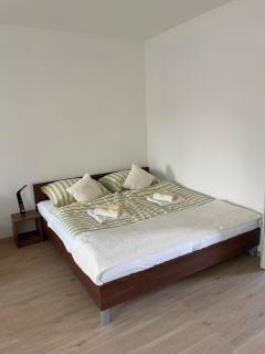 AA Apartman - Kaposvár - 8