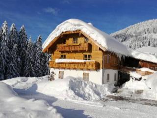 Haus Unterdieterer - Annaberg-Lungötz - 9