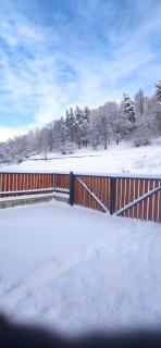 Villa Bayern in Bakuriani - 9