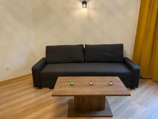 Wood Apartment - Katowice - 1