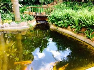 Tree Tops Guest Farm - Isidule - 7