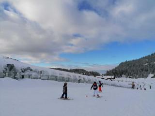La belle des praz - Mieussy - 1