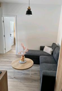 Apartman N&V, Villa Mont Jahorina - Jahorina - 4