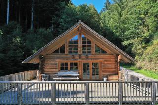 Schwarzwald Blockhaus - Sauna - Kamin - mit Bettwäsche und Handtücher - Schenkenzell - 0
