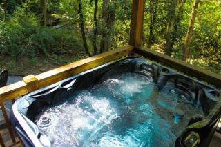 Honeymoon Creek - Bryson City - 7