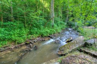 Honeymoon Creek - Bryson City - 6
