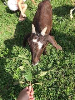 Sertão Veredas Hotel Fazenda - 3