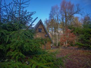 Chalet Birchwood Cottage by Interhome - Inverness - 7