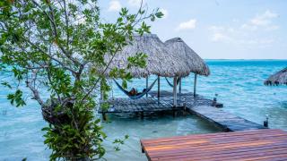Agave-Blue - Bacalar - 1