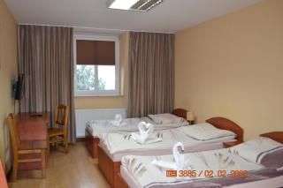 Hotel i Restauracja Jaskolka - Alojzów - 7