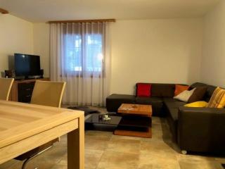 Komfortabel, Perfekte Lage, neue Wohnung, gratis P - Lauterbrunnen - 1