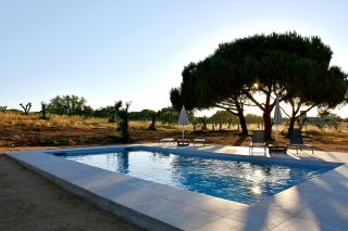 Monte Casa Branca - 5