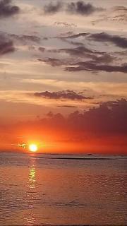 Les Villas Thorel - Hibiscus - 3