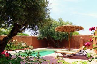 La Maison Des Oliviers - Marrakesch - 1