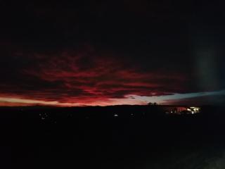 La Bella Vite - Moncalvo - 9
