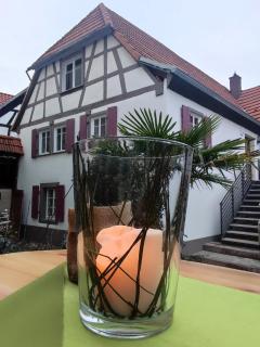 Hofgarten Rosa - Ilbesheim - 8