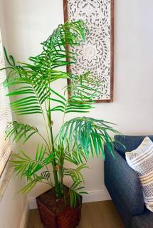 Lush tropical big home close to Airport, Calle 8, Coral Gables and lots more Miami amenities - 1