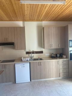 TheonikosHouse - Agros - 5