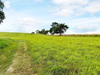 4 person holiday home in YSTAD-By Traum - 3