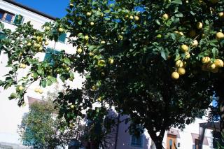 Appartamento sole&mare - Levanto - 2