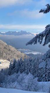 Grand appartement hyper centre haut standing - 5