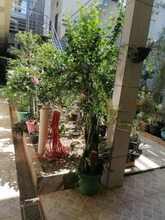 Quarto para Rapazes no Centro Sinop MT - Sinop - 9