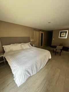 Suites Casa Mateo San Miguel Allende - 3