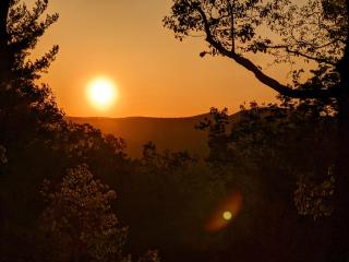 Barefoot Hills - Dahlonega - 9
