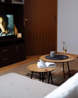 Apartman Danica - Vrnjačka Banja - 7