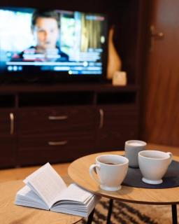 Apartman Danica - Vrnjačka Banja - 6