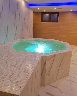 Studio Art Lux&Spa - Zlatibor - 0