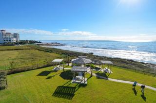 Seascape 1110-Parrot Paradise - Galveston - 3