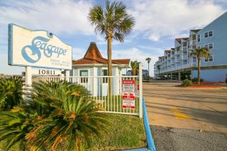 Seascape 1110-Parrot Paradise - Galveston - 1