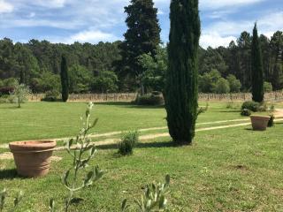 Mas Boudeissoun - Cœur de cerise - Baignade à 600 m - Mormoiron - 3