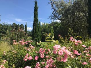 Mas Boudeissoun - Cœur de cerise - Baignade à 600 m - Mormoiron - 1