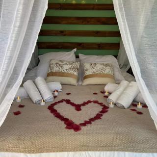 ESCAPE ZEN Oasis tropicale & Spa privatif - Loon-Plage - 6