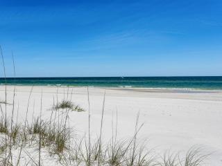 Morning Glory - Gulf Shores - 7