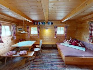 Chalet in Wildkogel near Ski Slopes - 1