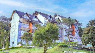 Shola Crown Resort - Munnar - Chinnakanal - 2