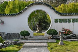 Suanphung Bonsai Village - Ban Bo Wi - 6