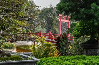 Suanphung Bonsai Village - Ban Bo Wi - 7