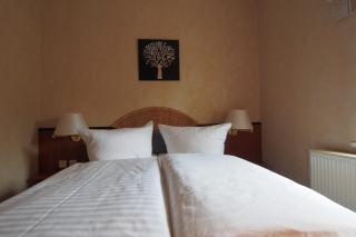 Hotel Schlossvilla Derenburg - 7
