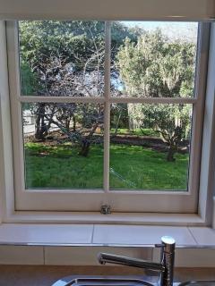 The Shoemaker's Cottage - Richmond - 2
