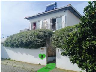 RoyalHeronHouse - Viana do Castelo - 0