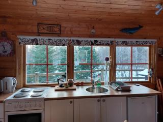 Bakkakot 1 - Cozy Cabins in the Woods - 2