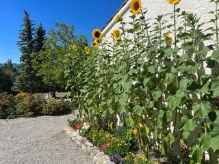 Le Cheval Blanc - Serres - 7