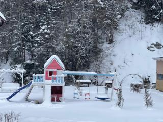 Anelisse Inn - Moieciu de Sus - 1