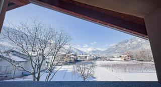 Hérisson - Aosta - 0