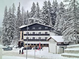 Manor Ski Hotel - Predeal - 8